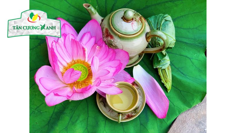 Kinh nghiệm thực tế khi chọn sen ướp trà
